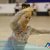 Jesolo - Coppa Italia Jesolo 2016